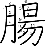 kanji stroke order for 腸